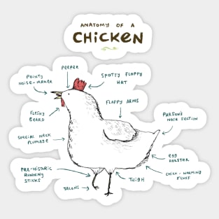 Anatomy of a Chicken Sticker